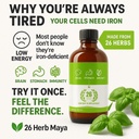 26-herb-dr-sebi-maya-formula-iron-rich-h-6.jpg