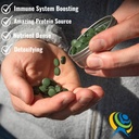 on-target-living-organic-chlorella-table-3.jpg
