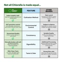 fermented-chlorella-tablets-675-tablets--6.jpg