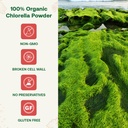 organic-chlorella-powder-4oz-freeze-drie-4.jpg