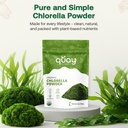organic-chlorella-powder-4oz-freeze-drie-6.jpg