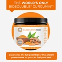 curcuminpro-complete-curcumin-bulk-powde-2.jpg