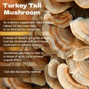 turkey-tail-mushroom-powder-8-oz-natural-4.jpg