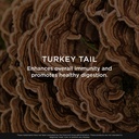 the-genius-brand-genius-turkey-tail-plan-5.jpg