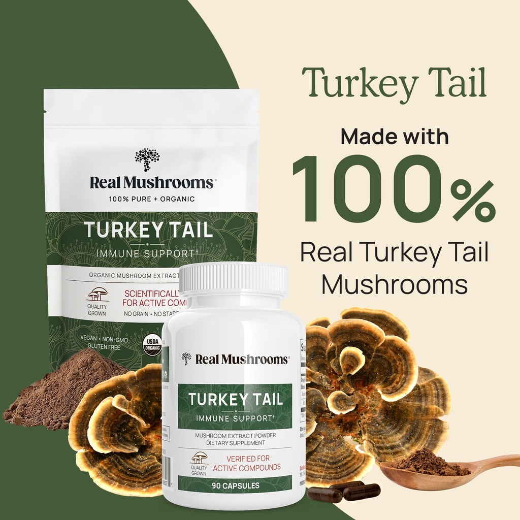 real-mushrooms-turkey-tail-for-humans-pe-2.jpg