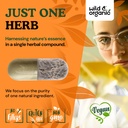 wild-organic-turkey-tail-mushroom-capsul-5.jpg