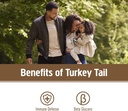 om-mushroom-superfood-turkey-tail-mushro-3.jpg