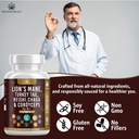 mushroom-supplement-with-lion-s-mane-tur-6.jpg