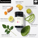 blisque-organic-zinc-supplement-sourced--4.jpg