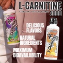 l-carnitine-stimulant-free-enhances-ener-5.jpg