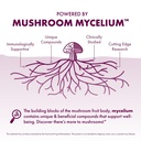 host-defense-turkey-tail-mushroom-powder-4.jpg