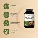 naturebell-turkey-tail-mushroom-extract--3.jpg