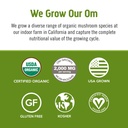 om-mushroom-superfood-matcha-latte-blend-4.jpg