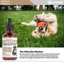 turkey-tail-mushroom-for-dogs-helps-to-b-5.jpg