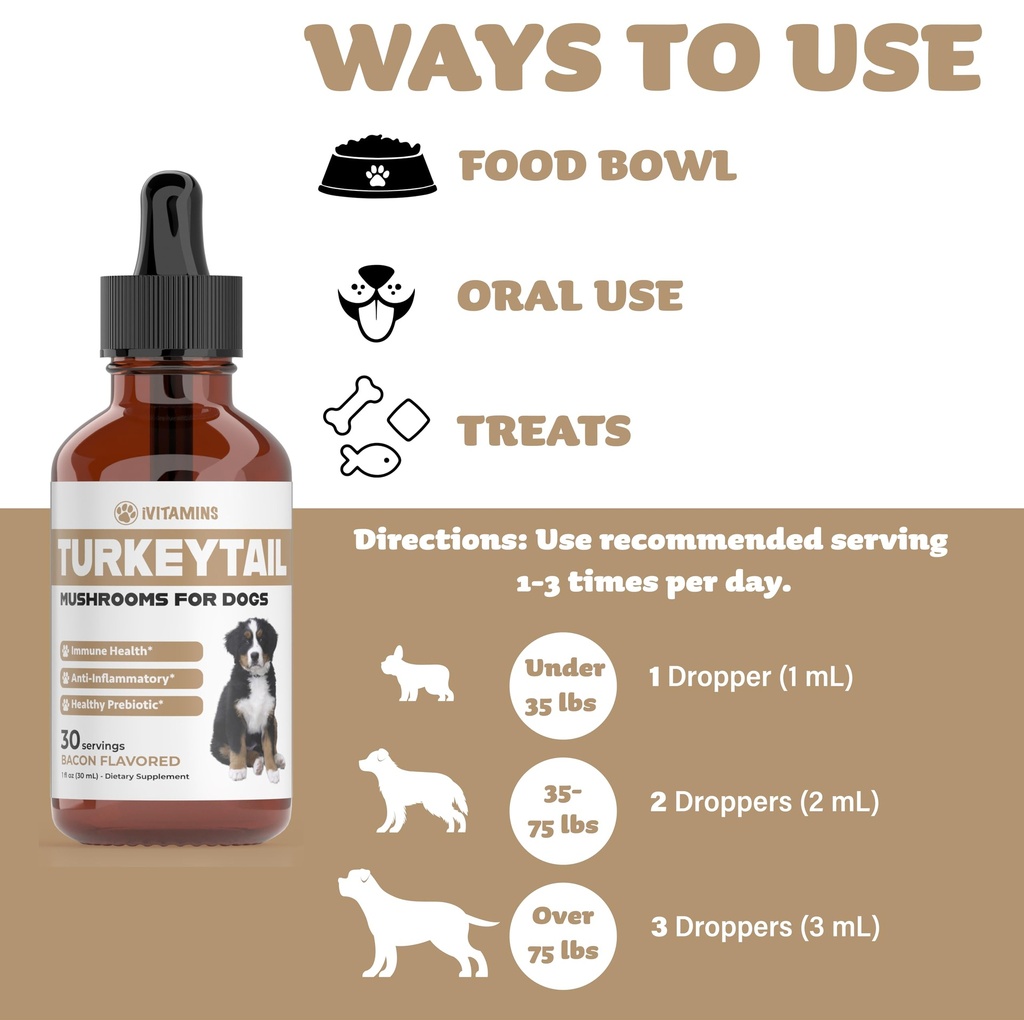 turkey-tail-mushroom-for-dogs-helps-to-b-4.jpg