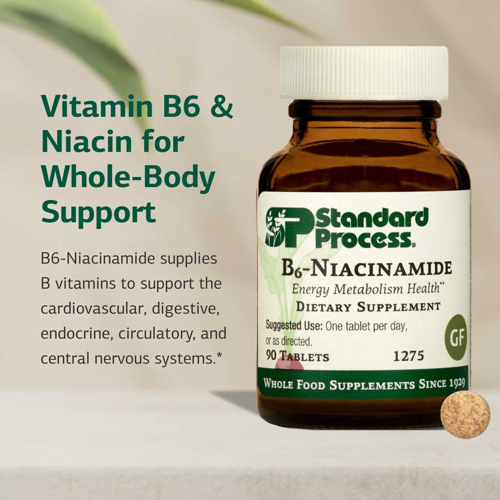 standard-process-b6-niacinamide-support--3.jpg