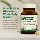 standard-process-b6-niacinamide-support--3.jpg