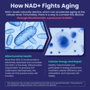 neviss-nicotinamide-500mg-gummies-niacin-5.jpg