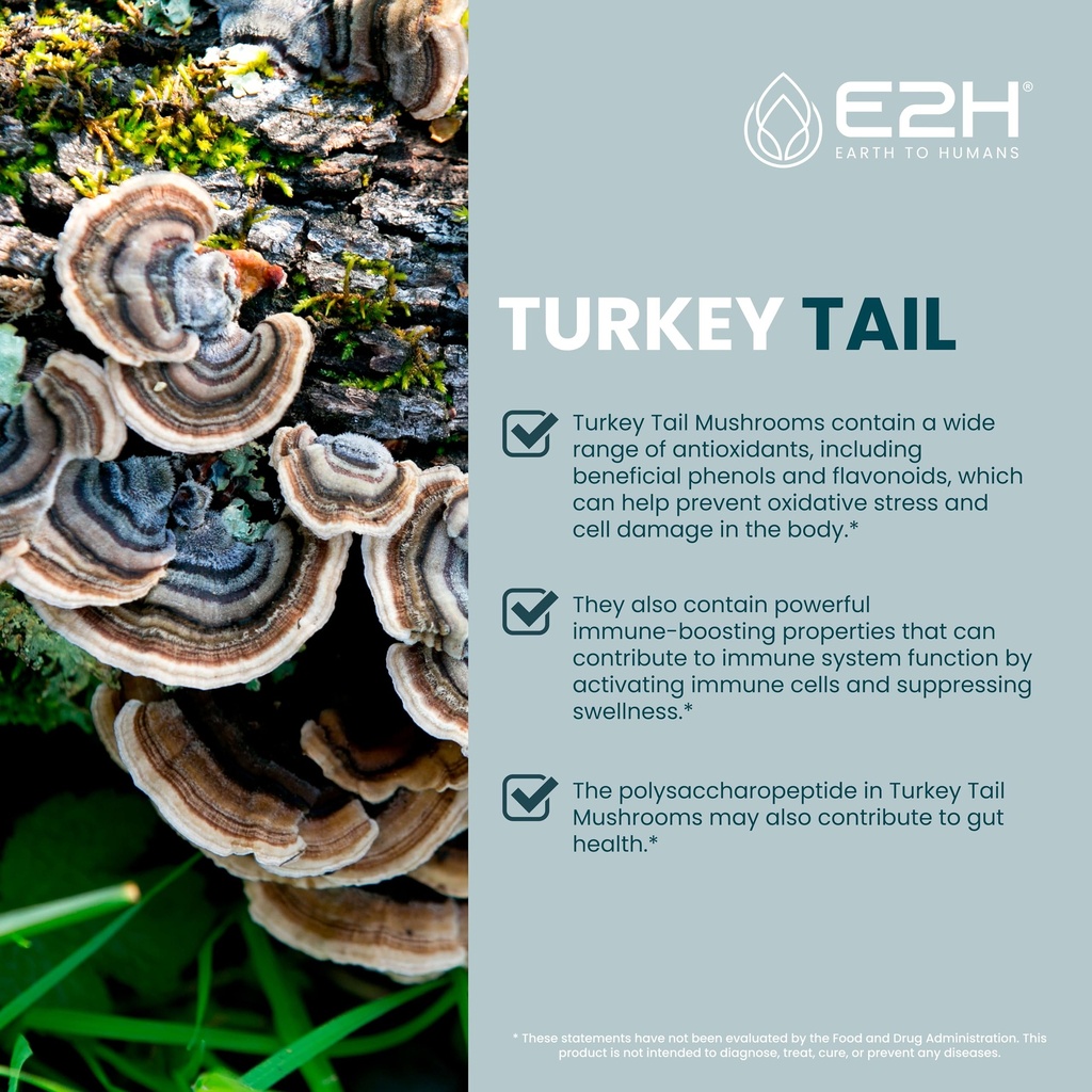 turkey-tail-mushroom-extract-faster-abso-3.jpg