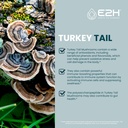 turkey-tail-mushroom-extract-faster-abso-3.jpg