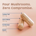 nativepath-mushroom-complex-and-native-b-3.jpg