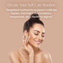 designs-for-beauty-the-big-glow-60-capsu-6.jpg