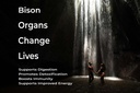 grass-fed-bison-organ-supplement-support-3.jpg