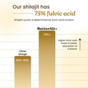 better-alt-pure-himalayan-shilajit-resin-2.jpg