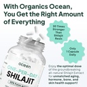 organics-ocean-one-per-day-shilajit-for--3.jpg