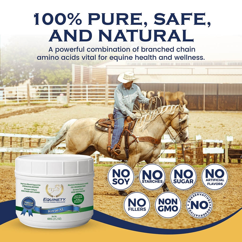 100-day-supply-horse-xl-supplement-amino-6.jpg