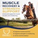 100-day-supply-horse-xl-supplement-amino-3.jpg