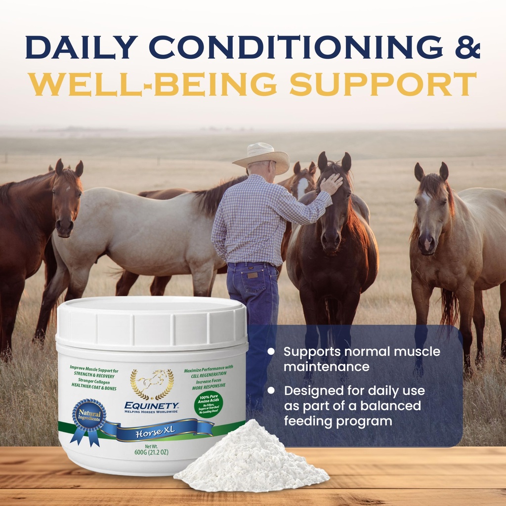 100-day-supply-horse-xl-supplement-amino-2.jpg