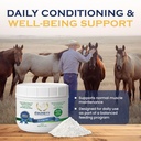 100-day-supply-horse-xl-supplement-amino-2.jpg