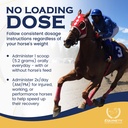 100-day-supply-horse-xl-supplement-amino-5.jpg
