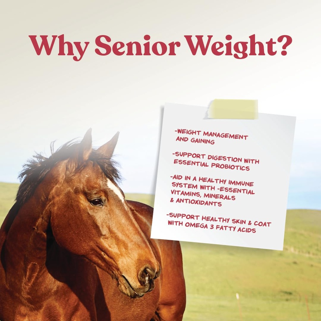 manna-pro-weight-accelerator-for-senior--6.jpg