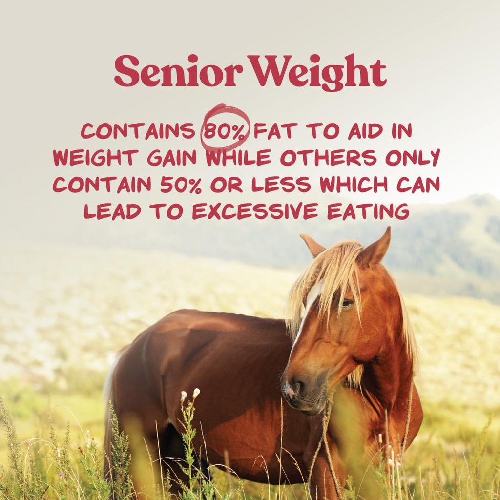 manna-pro-weight-accelerator-for-senior--4.jpg