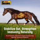horse-guard-super-weight-gain-10-lb-3-in-6.jpg