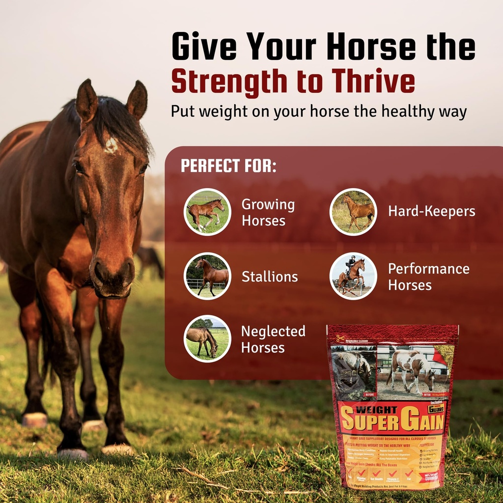 horse-guard-super-weight-gain-10-lb-3-in-3.jpg