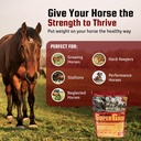 horse-guard-super-weight-gain-10-lb-3-in-3.jpg