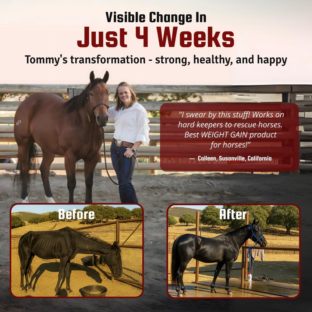 horse-guard-super-weight-gain-10-lb-3-in-5.jpg