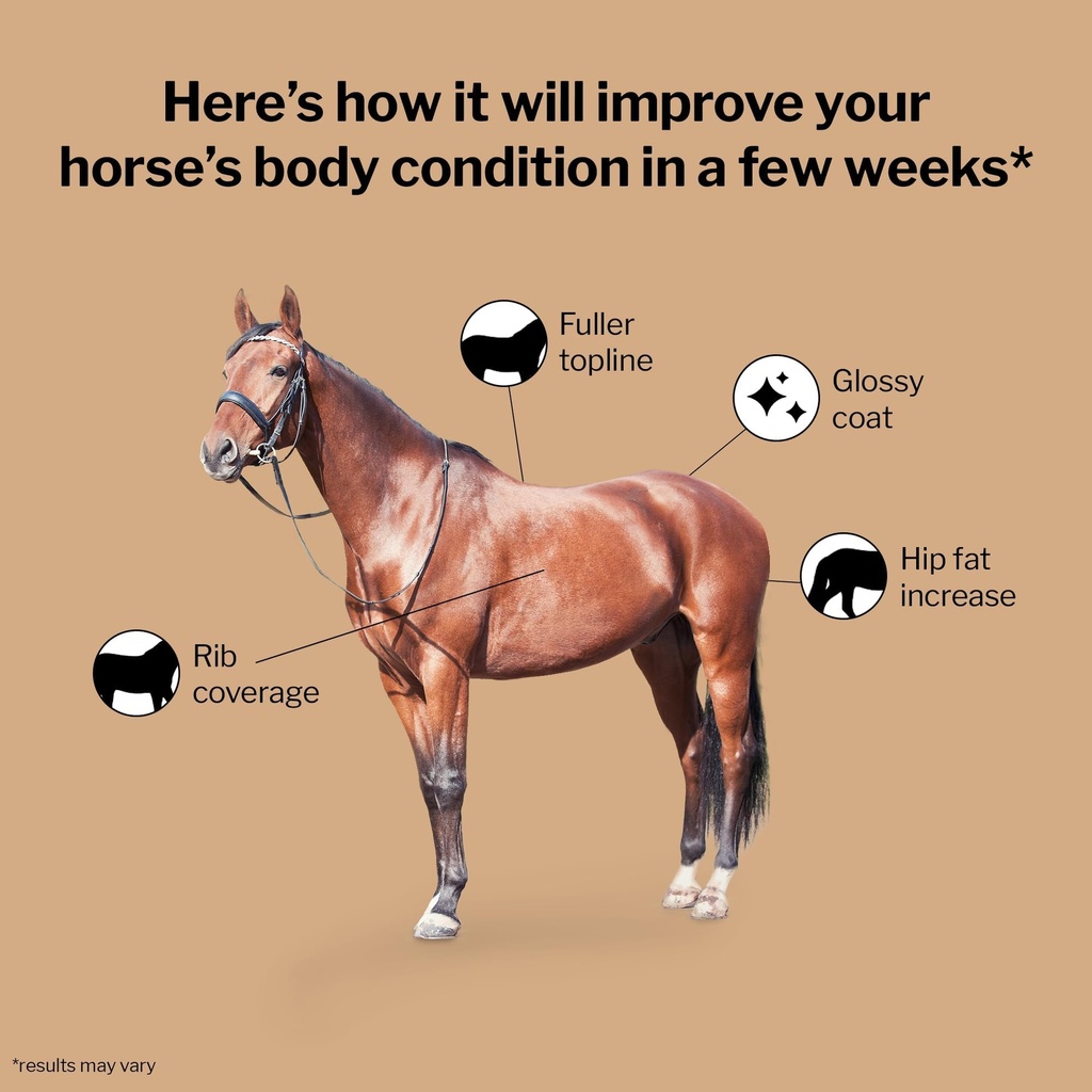 formula-707-weight-gain-equine-supplemen-2.jpg