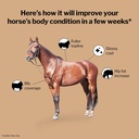 formula-707-weight-gain-equine-supplemen-2.jpg