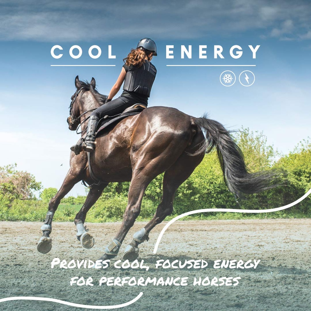 manna-pro-cool-calories-100-high-calorie-3.jpg