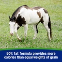 farnam-weight-builder-weight-support-sup-4.jpg