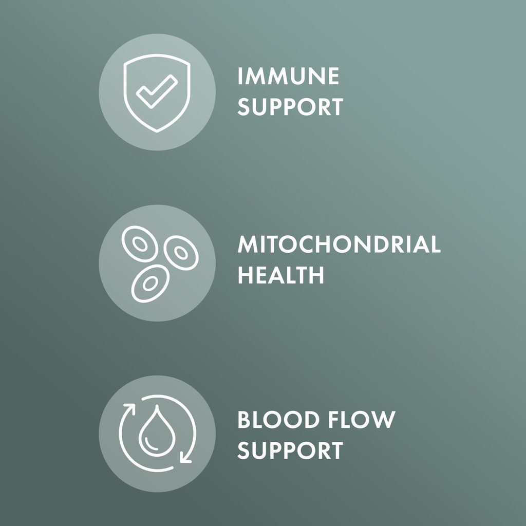 dr-mercola-organic-chaga-mushroom-immune-3.jpg