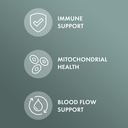 dr-mercola-organic-chaga-mushroom-immune-3.jpg