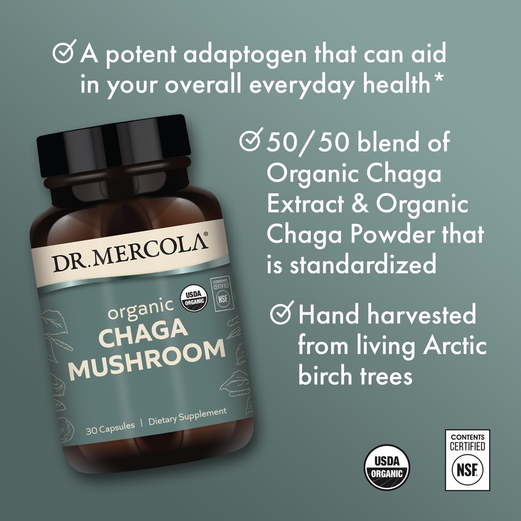 dr-mercola-organic-chaga-mushroom-immune-4.jpg