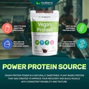 healblend-plant-based-protein-powder-veg-4.jpg