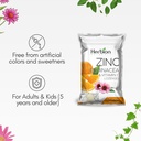 herbion-naturals-zinc-echinacea-vitamin--4.jpg