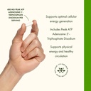 swanson-maximum-strength-peak-atp-cellul-4.jpg